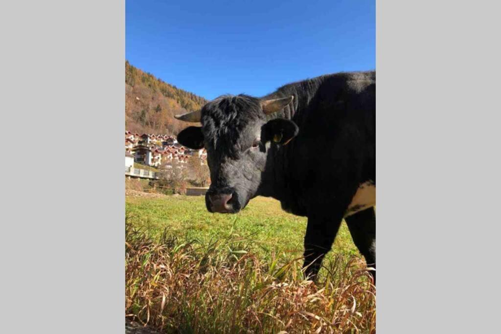 Tabla - Confort Ed Eleganza A 100 Mt Dagli Impianti Aprica Exteriör bild